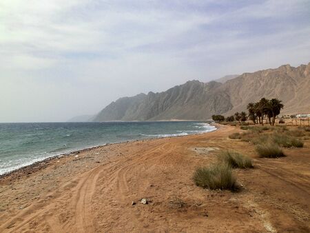 Beautiful seascape. Coast in Egypt. Red Sea.