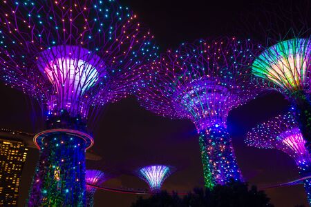 Singapore, Singapore - 28 March 2016: Supertrees illuminated for light show in gardens by the bay.のeditorial素材