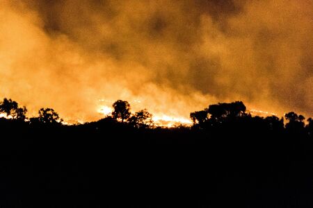 australian bushfire of a forrest at Night, nothern territory