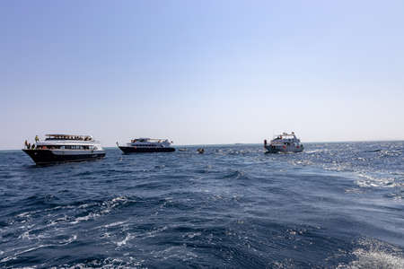 Hurghada, Egypt - september 17, 2019: Unknown people on white yacht watching dolphins in the Red sea, Jaz ir Jift nのeditorial素材