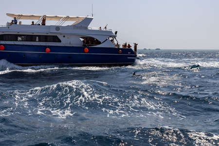 Hurghada, Egypt - september 17, 2019: Unknown people on white yacht watching dolphins in the Red seaのeditorial素材
