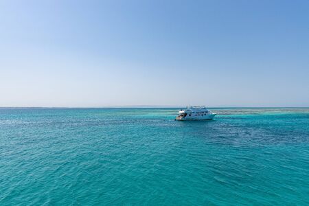 Undersea world. Multicolored corrals. Corral reefs under water.の写真素材