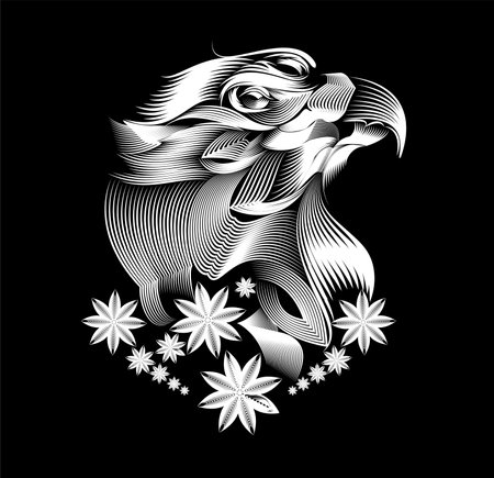Falcon Line Art Illustration vector designのイラスト素材