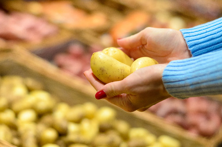 Woman shopper selecting fresh potatoes from a bin at farmers market or in a supermarket holding them in the palm of her handの写真素材