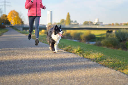 Low angle view of a Border Collie running with its owner in evening light along a rural footpath beside a river in an active outdoors lifestyle conceptの写真素材