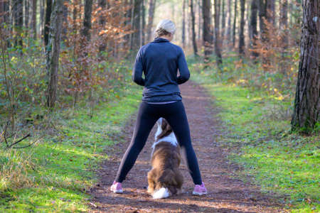 Sportive woman training her dog to sit, standing outdoors on a trail at park or forest, viewed from behindの写真素材