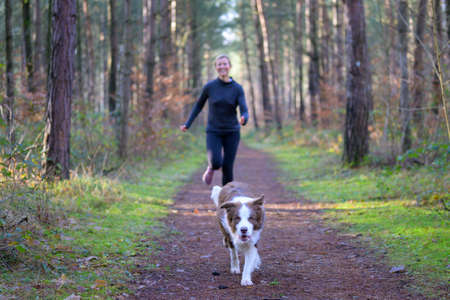 Smiling sportive woman jogging on the trail in forest, following her dog. Viewed from the front with focus on a dogの写真素材