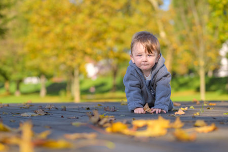 A young toddler in a gray jacket crawls along a wooden path dotted with scattered autumn leaves, gazing forward with a contemplative expression.の写真素材