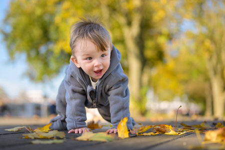 A joyful toddler in a gray fleece jacket explores a wooden path covered in autumn leaves, displaying a bright smile and curious expression.の写真素材