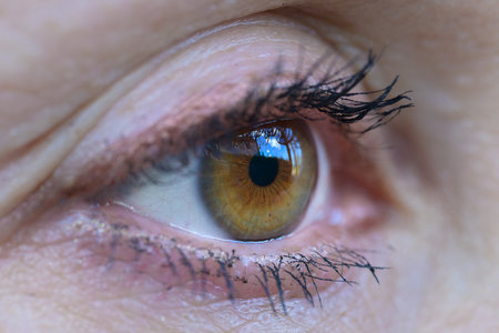 A macro close-up of a golden-brown eye with a sharp reflection of a bright blue sky and surrounding trees.の写真素材