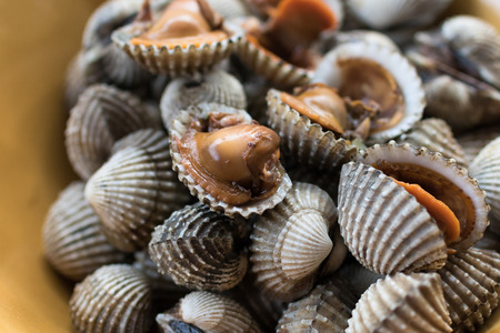 Cocklesの写真素材