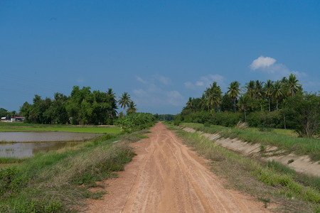 countryRough road with blue skyの写真素材