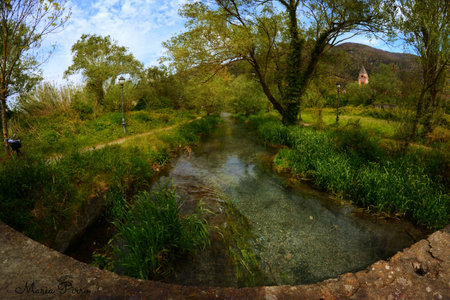 clear springs River in scenic landscapeの写真素材