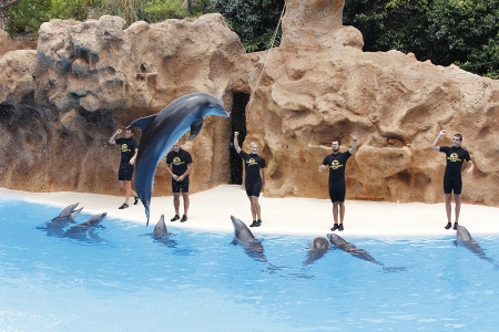 PUERTO DE LA CRUZ, TENERIFE - JULY 4: Dolphin show in the Loro Parque, which is now Tenerife