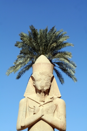 Abu Simbel in Egyptの写真素材