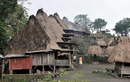 Traditional vilage in Bajawa  Flores - Indonesia のeditorial素材