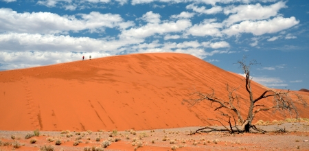  Sossusvlei, Namibia, southern Africaの写真素材