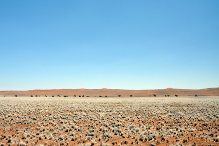 Namibian Desert and Prairieの写真素材