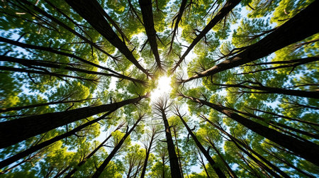 Country road in Tuscany, Italy. Rural landscape with cypressesの写真素材