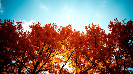 Autumn leaves on a blue sky background. Autumn season concept.の写真素材