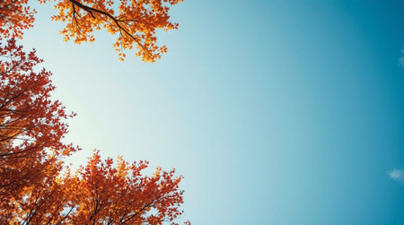 Autumn leaves on blue sky background with copy space for text.の写真素材