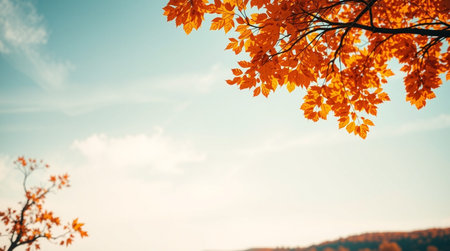 Autumn landscape with colorful leaves and blue sky. Filtered image processed vintage effect.の写真素材