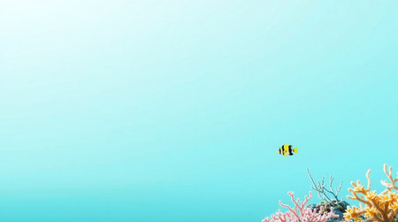 Coral and fish in the Red Sea, Eilat Israelの写真素材