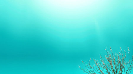 Flower on the blue background with copy space for your text.の写真素材