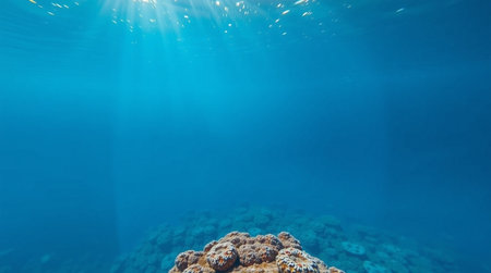 Underwater view of coral reef with sunbeams and blue waterの写真素材