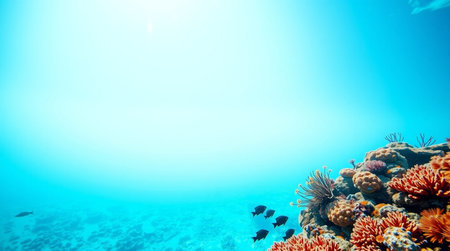 Underwater view of coral reef with fishes and corals at sunny dayの写真素材