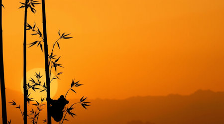 Silhouette of koala and bamboo at sunset, Thailand.の写真素材