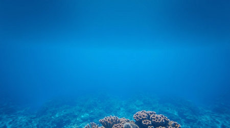 Underwater view of the coral reef. Tropical seascape.の写真素材