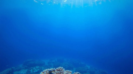 Underwater view of coral reef with sun rays coming through water surfaceの写真素材