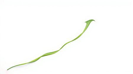 Green leaf isolated on white background, clipping paths included in file.