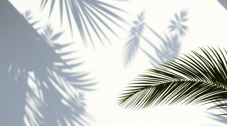 Shadow of palm leaves on white wall background. Copy space for text.