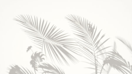 Shadow of palm leaves on a white wall background. White and black.