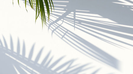 Shadow of palm leaves on a white wall. Background and texture for design.