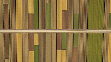 Aerial view of a colorful wooden fence.