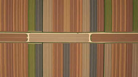 Aerial view of a green and brown plowed agricultural field.