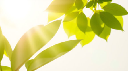 Green leaves on white background with sunbeams and lens flare.