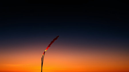 Silhouette of firecracker on the background of the sunset