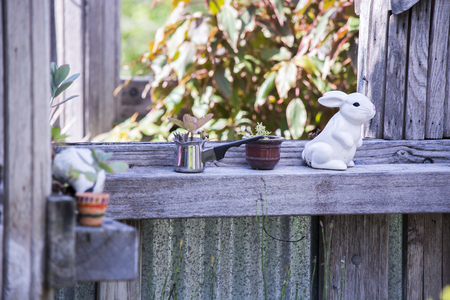 Rabbit Vintageの写真素材