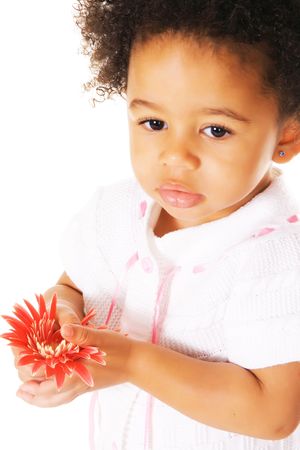 Portrait of a pretty little girl with pink flower on white backgroundの写真素材
