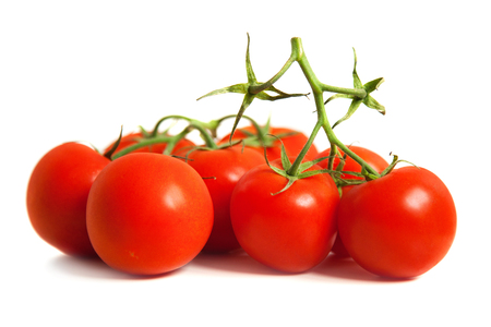 Fresh tomatoes on white backgroundの写真素材
