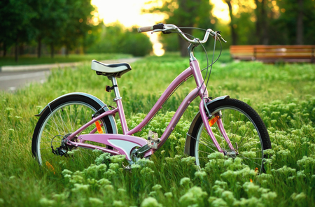 Pink bicycle standing on a meadow in the parkの写真素材