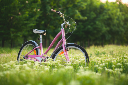Pink bicycle standing on a meadow in the parkの写真素材