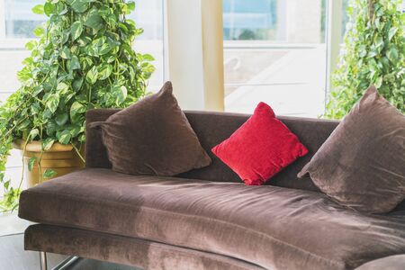 House snuggery with comfortable brown sofa, pillows and greenery for relax and recreation. By...