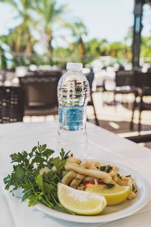 Squid in a white plate served with lemon and parsley, nearby is bottle with mineral water. The dish is on the table with a white tablecloth in a summer cafe outdoors. Healthy lifestyle conceptの写真素材