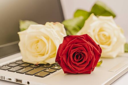 Bouquet of fresh white and red roses on the laptop keyboard on slightly pink background, Valentine concept. A bit of romance in everyday life. Horizontal image and close upの写真素材