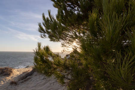 Spain's longest coastline is the coast of Huelva. From Matalascanas to Ayamonte. Coast with cliffs,...